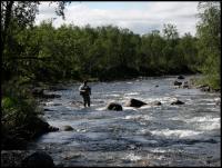 Bifogad bild: norge2010augusti102.jpg